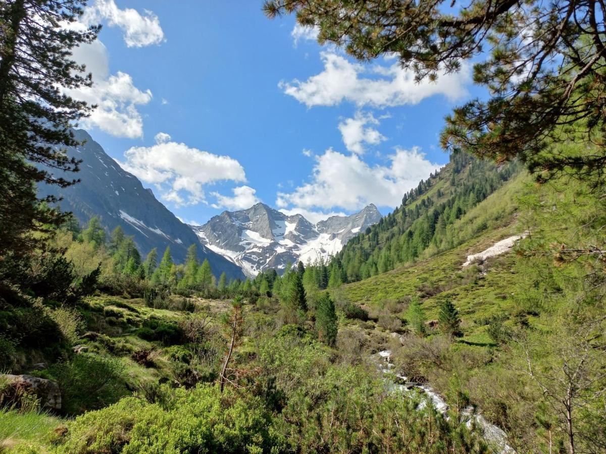 Appartement Summerer Peter Mayrhofen Exteriér fotografie